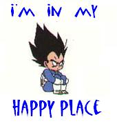 DBZ - Happy Place.jpg