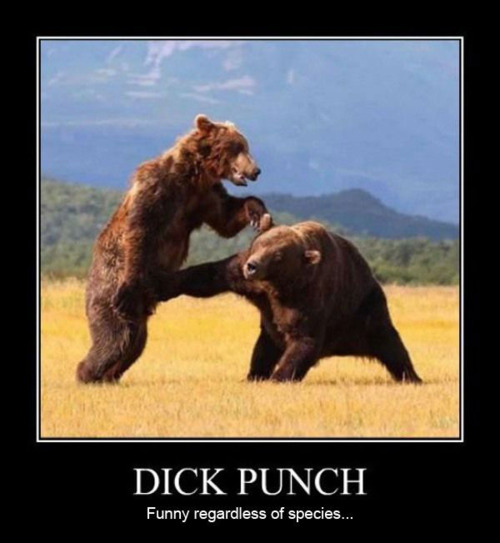 Dick Punch.jpg