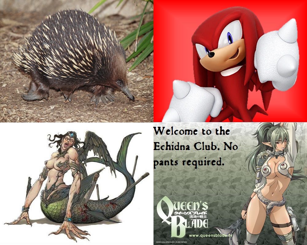 Echidna Club.jpg