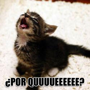 Kitty - Por Queeeeeee.jpg